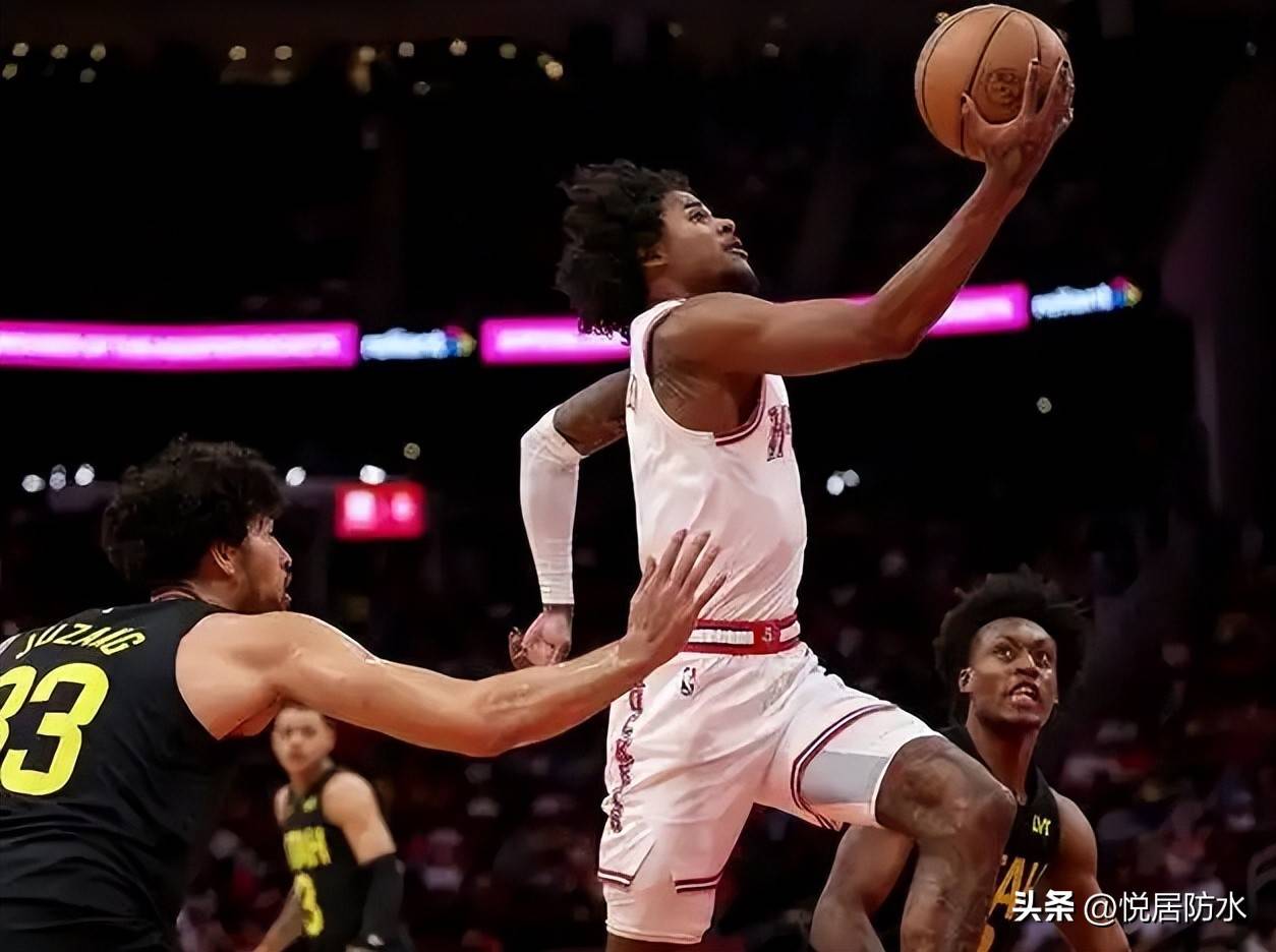 猪猪侠之竞速小英雄第八季 猪猪侠之竞速小英雄第八季